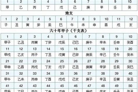 2010属什么|2010年是什么年天干地支 农历2010年是什么年